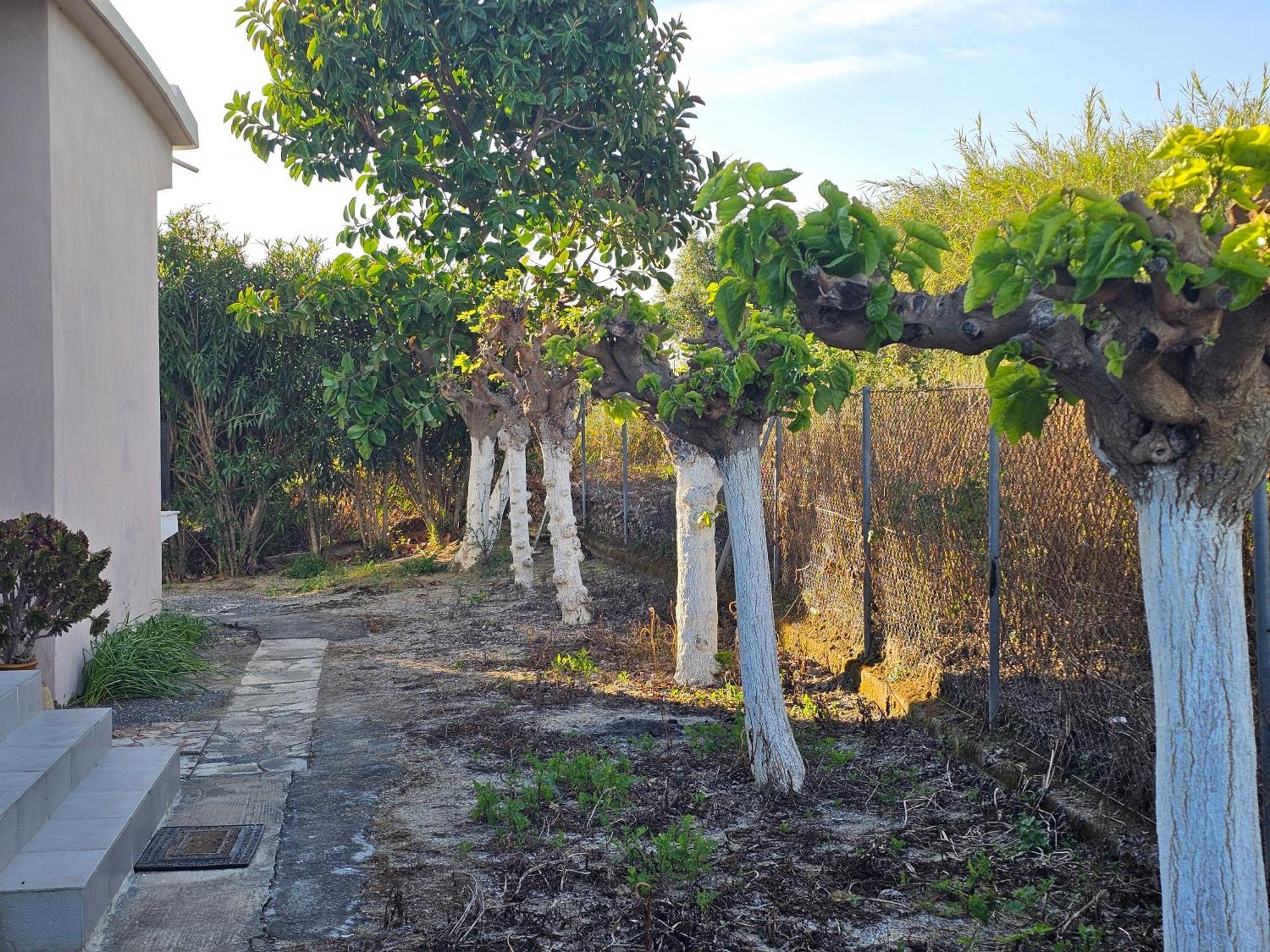 فيلا Country Side House Koróni المظهر الخارجي الصورة